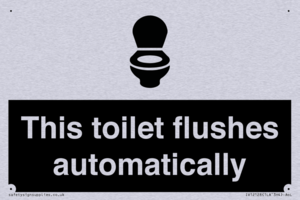 This toilet flushes automatically